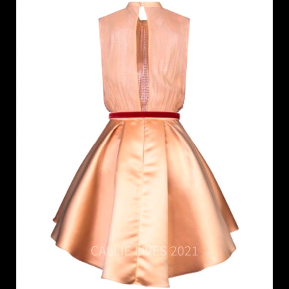 Callie Sequin & Satin: Elisabetta Franchi Dress - Picture 5 of 6